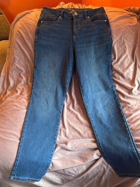 Style & Co. Dark Blue Classic Women's Jeans